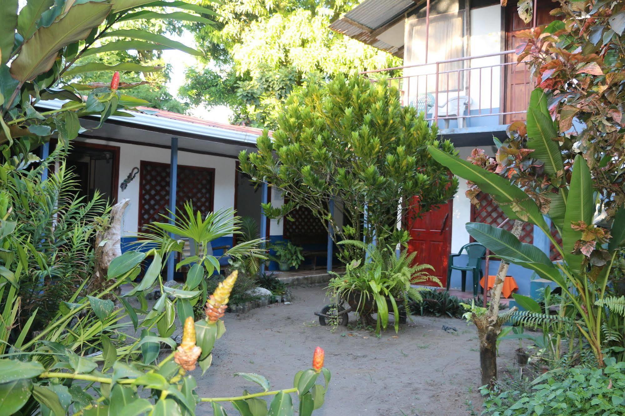 La Casona De Tortuguero Hotel Eksteriør billede