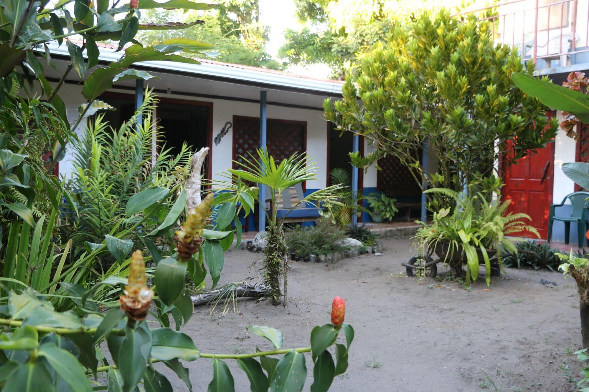 La Casona De Tortuguero Hotel Eksteriør billede